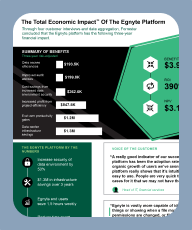 The Total Economic Impact of the Egnyte Platform_Infographic