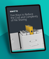 Five Ways to Reduce the Cost and Complexity of File Sharing