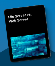 file server vs web server